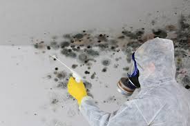 Best HVAC Mold Inspection and Cleaning  in Slocom, AL